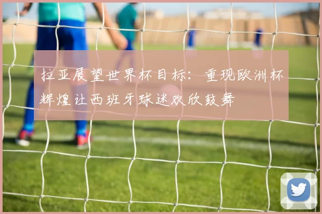 拉亚展望世界杯目标：重现欧洲杯辉煌让西班牙球迷欢欣鼓舞